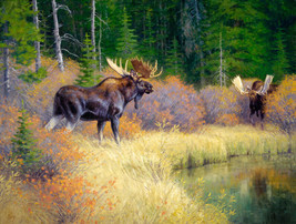 Framed canvas art print gicleee Moose meeting wildlife wilderness forest wild - £31.00 GBP+