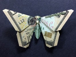 Item image 14