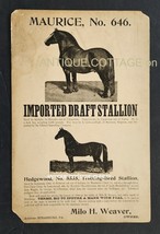 1800s Antique Stallion Broadside Strasburg Pa M Weaver Horse Maurice Hedgewood - £190.07 GBP