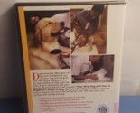 American Kennel Club: Your New Dog and You (DVD, 2003, AKC) New - £6.67 GBP