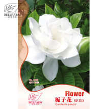 PWO Fresh Gardenia Cape Jasmine White Flowers, 20Pcs Bonsai Seeds, Strong Fragra - $1.72