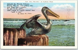 Vintage Postcard Of The Gulf Of Mexico And Bill The Pelican Florida - £9.73 GBP