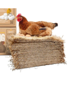 10 Pack Eaton Premium Nesting Pads Chickens - Laying Hens - 13&quot;x13&quot; -- S... - £34.38 GBP