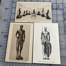 Vintage Postcards Field Museum Of Natural History Malvina Hoffman Races ... - $348.11 MXN