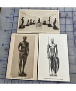 Vintage Postcards Field Museum Of Natural History Malvina Hoffman Races ... - €16,35 EUR