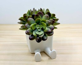 LEGGI Sitting the Succulent &amp; Cactus Planter Pot - £7.17 GBP