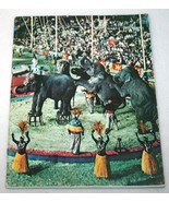 Vintage 1956 RINGLING BROS Barnum &amp; Baily Circus Story Photo History Book - $914.97 MXN