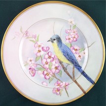 Theodore Haviland Dinner Plate, Oxford, Artist Painted Bird Cherry Blossom Scene - £10.23 GBP