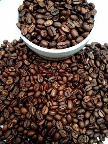 Timorian East Timor Cafe Coffee Bean Tree Seeds (25) / RARE - $9.29