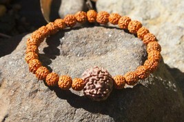 Bracelet de poignet Rudraksha extensible avec une grande perle Rudraksha... - £10.35 GBP