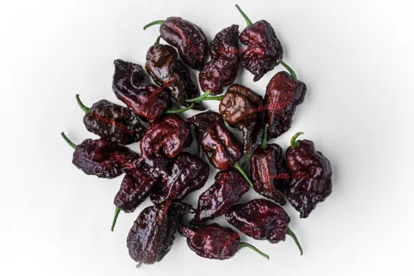 10 Chocolate Carolina Reaper Pepper Worlds Hottest Capsicum Chinense Chili Seeds - £4.73 GBP