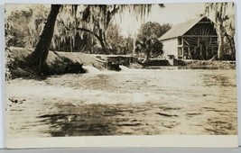 RPPC Waterwheel, River, Spanish Moss &amp; Palm Tree c1920 Real Photo Postcard K12 - £15.73 GBP