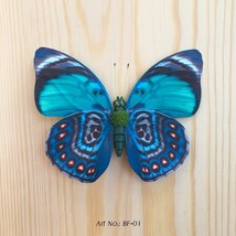 Magnet Butterflies for walls and friges - $1.24