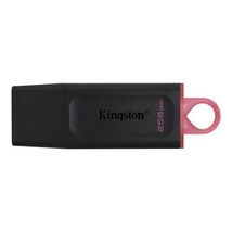 256GB Kingston DataTraveler Exodia USB Flash Drive with Protective Cap and Keyri - £25.20 GBP