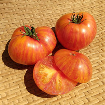 50 Seeds Dwarf Beauty King Tomato Juicy Tomatoe Vegetable Garden Fresh U... - £7.62 GBP