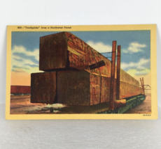 869 Toothpicks From A Northwest Forest Giant Timbers VTG Postcard Unposted 1940s - £6.95 GBP
