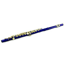 &quot;SKY&quot; Band Approved Blue Flute/Gold Keys/Hard &amp; Soft Cases - £110.12 GBP
