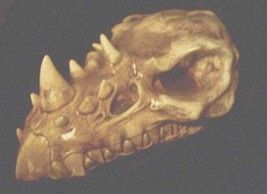 Gothic Medieval Horned Dragon Skull Statue Skeleton Bone Fantasy Renaiss... - £35.87 GBP