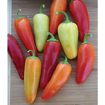 Santa Fe Grande Pepper Garden Beautiful USA SELLER - £4.42 GBP