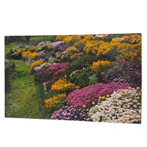 Postcard Rock Garden Forsythia Alyssum Saxatile Iberis Rose Daphne Unposted - £5.34 GBP