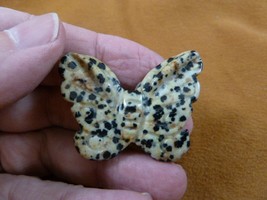 (Y-BUT-567) little spotted BUTTERFLY stone figurine gemstone carving but... - $14.01