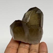 125.9g,2.5&quot;x2.2&quot;x1.5&quot;,Smoky Quartz Crystal Mineral,Specimen Terminated,B28960 - £19.98 GBP