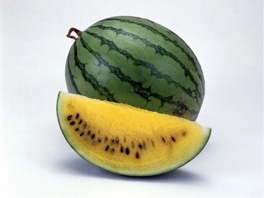 Janosik yellow watermelon seeds (20) / ORGANIC / FLORIDA GROWN / VERY RARE - $7.94