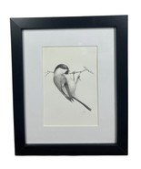 Carolina Chickadee Bird on Tree Branch Black and White Signed Framed Art... - $656.58 MXN