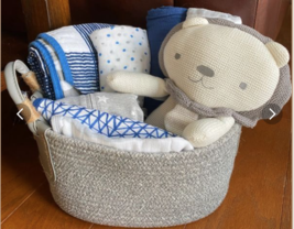 An item in the Baby category: Austin Lion Baby Gift Basket