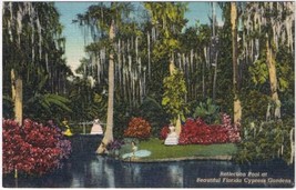 Postcard Reflection Pool At Beautiful Florida Cypress Gardens - £2.35 GBP