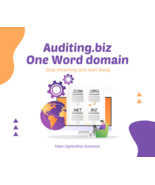 Auditing.biz - 2 years old .BIZ Top Finance/Accounting One-Word Domain F... - £69.92 GBP