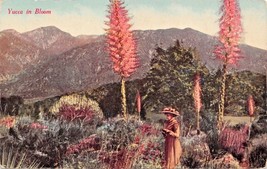 Victorian Attired Woman Admiring Yucca In BLOOM-NEWMAN Postcard 1910s - £4.42 GBP