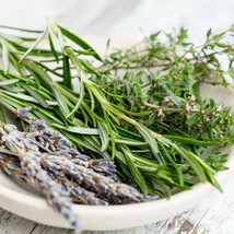 New Seeds 25 Seeds Rosemary Herb Gardening Standard Or Potted Plant - $16.56