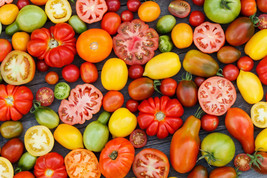 6 Pack Heirloom Tomato Seed Fresh Gardening - $318.73 MXN