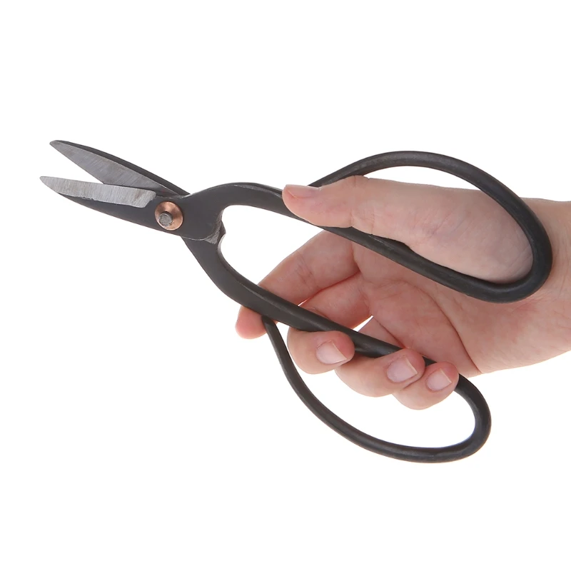 Beginner  Steel Household Bonsai Tools Scissors Gardening nch Shears - £174.27 GBP