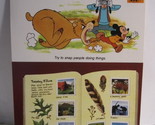 1978 Walt Disney&#39;s Fun &amp; Facts Flashcard #DFF9-13: Photographs - $2.00