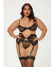 Valentines Heart Embroidered Mesh Bra, Waspie &amp; Panty Black 3X/4X - $30.89