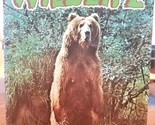 Vintage Alaskan Wildlife Souvenir Collection Of 58 Views In Living Color... - $9.76
