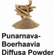 Punarnava powder 50g Organic - $9.41