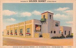 St Petersburg~Golden Sunset Citrus Fruits Packing PLANT-SEMINOLE~1948 Postcard - £6.82 GBP