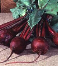 Beet Detroit Dark Red Great Heirloom Vegetable By Seed Kingdom 1/4 Lb Seeds Fres - £24.06 GBP