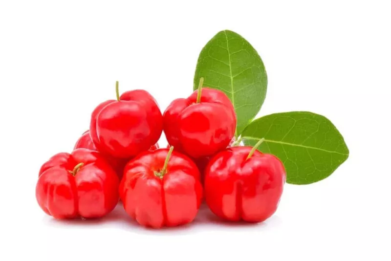 10 Acerola (Barbados) Cherry Seeds for Garden Planting - $5.48