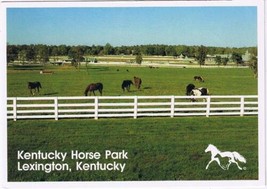 Postcard Kentucky Horse Park Lexington Kentucky  - £1.69 GBP
