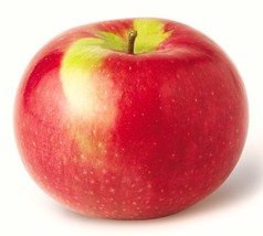 Item image 1 image 1