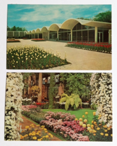 Longwood Gardens Flowers Plants Kennett Square PA Dexter Postcards 1960s (Qty 2) - $7.99