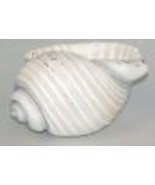 Conch Shell Planter or Bowl White 9&quot; Long Poly Resin Nautical Seaside Co... - £19.46 GBP
