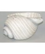 Conch Shell Planter or Bowl White 9&quot; Long Poly Resin Nautical Seaside Co... - €21,02 EUR