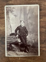 Vintage Cabinet Card. Boy leaning on log. Dabb&#39;s in Pittsburgh, Pennsylvania - £10.65 GBP