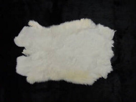 White Rabbit Skin Fur Pelt Hide Craft Real Genuine Bunny Taxidermy Soft Animal - £12.86 GBP