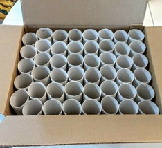 Toilet Paper Rolls Standard Size CRAFT ART PROJECT LOT of 46 Empty White... - $9.89